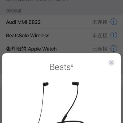 beatsX蓝牙版本,前沿解析评估 储蓄版_v7.289